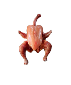 Desi Chicken | Meat Shop Lahore - Fresh and Halal Meat at Wholesale Rates