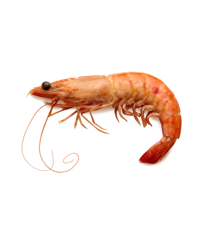 Prawns | Meat Shop Lahore - Fresh and Halal Meat at Wholesale Rates